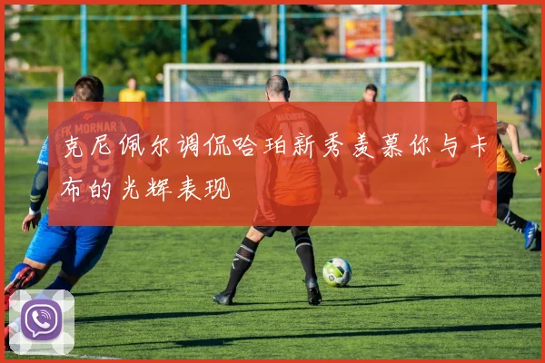 克尼佩尔调侃哈珀新秀羡慕你与卡布的光辉表现